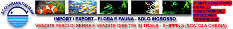 ACQUARAMA ITALIA srl - Import / Export - Flora e Fauna - Solo ingrosso