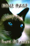 Home page - Gatti di Razza