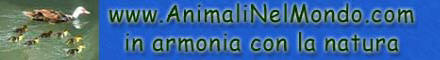Animali nel mondo