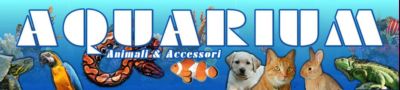 AquariumRettili.com -
            Animali e Accessori - Negozio OnLine