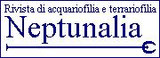 Neptunalia.it