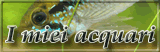 I miei acquari...