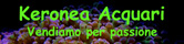KORONEA ACQUARI