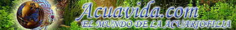 Acuavida - Madrid