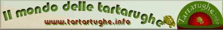 Tartarughe.info