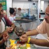 Consulente sera a tartabeach2011 dott. Mosconi