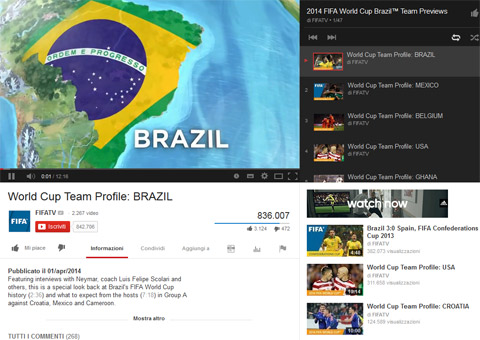 World Cup Team Profile - BRAZIL 2014
