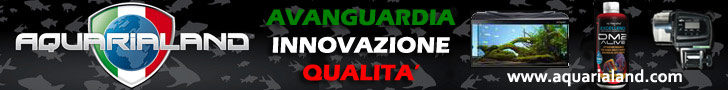 AQUARIALAND.com - Avanguardia - Innovazione - Qualit&agrave;