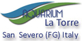 AQUARIUM LA TORRE - Una Gamma di Soluzioni per il tuo Negozio