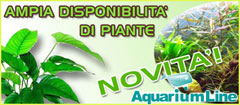 AquariumLine.com vendita piante aquatiche novit&agrave;