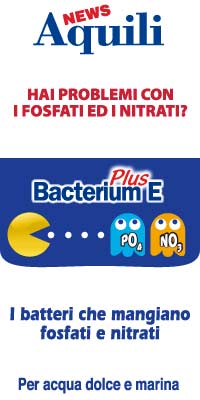 Hai problemi con i fosfati ed i Nitrati? Bacterium E Plus - Aquili