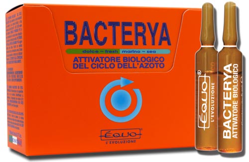 bacterya - équo - attivatore biologico ciclo azoto fiale