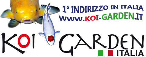 KOI GARDEN é il primo indirizzo in Italia per l´importazione di carpe Koi e pesci rossi Giapponesi, per prodotti da laghetto