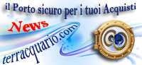 Terracquario.it negozio online acquariofilia, il Porto sicuro per i tuoi acquisti.