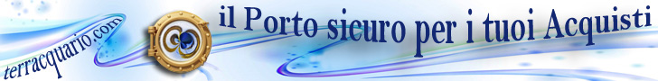 Pet ShopTERRACQUARIO il Porto sicuro per i tuoi Acquisti,Negozio OnLine Acquariofilia