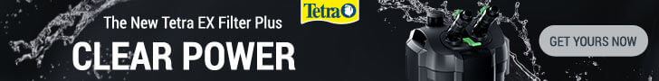 Tetra EX Plus Filter NUOVA GAMMA