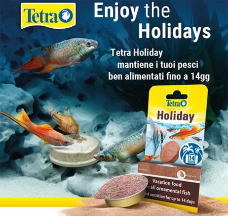 Enjoy the Holidays - Tetra Holiday mantiene i tuoi pesci ben alimentati fino a 14gg