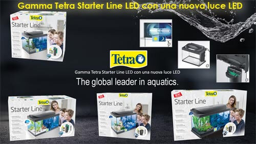 Gamma Tetra Starter Line LED con una nuova luce LED