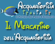Il Mercatino dell'Acquariofilia