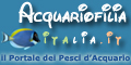 Formato 120x60