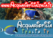 Formato 180x130