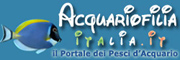 acquariofilia italia