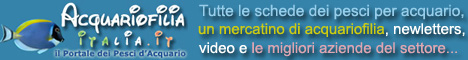 Formato 468x60