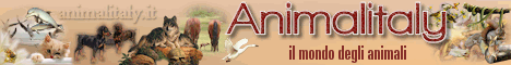 Animalitaly.it il Portale degli Animali, Animal