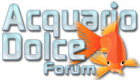 Il Forum Acquario Dolce &egrave; un'ottima occasione per tutti gli appassionati di acquariofilia e acquariologia