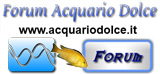 Forum di discussione su Acquariofilia per Acquario Dolce