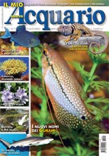 Rivista Il Mio Acquario n. 176 Maggio 2013 su i-Pad, in edicola, in abbonamento postale