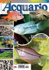 Rivista di Acquariofilia il Mio Acquario n. 160 Gennaio 2012