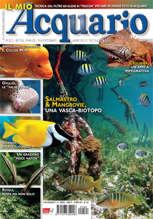 Rivista di acquariofilia Il mio acquario, mese di Giugno 2012 n.165
