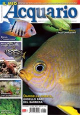 Rivista di Acquariofilia il Mio Acquario n. 161 Febbraio 2012