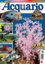 Il Mio Acquario n. 143 - Agosto 2010