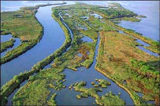 fiume po delta