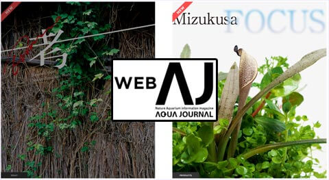 TAKASHI AMANO ada web aqua journal