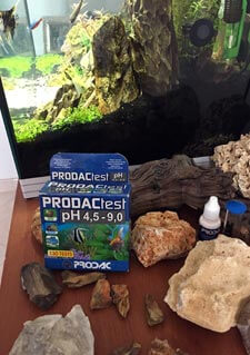 TEST Ph PRODAC come realizzare un acquario aquascaping