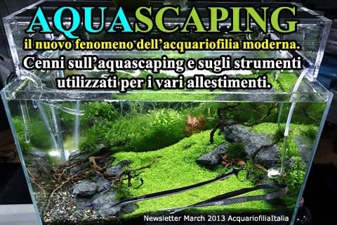 Newsletter Marzo 2013: AQUASCAPING il nuovo fenomeno dell’acquariofilia moderna. Cenni sull’aquascaping e sugli strumenti utilizzati per i vari allestimenti
