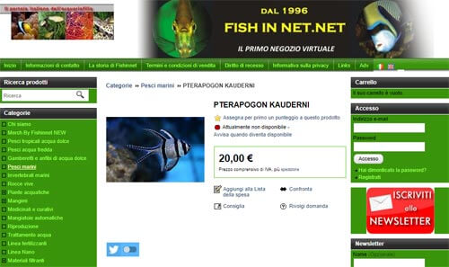 Pterapogon kauderni - vendita on line shop da fishinnet.net