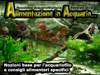 Alimentazionie in Acquario, nozioni base