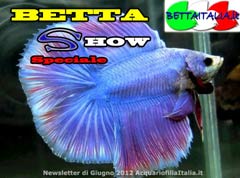 Betta Show Speciale