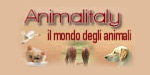 Animalitaly.it il mondo degli Animali