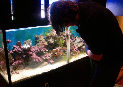 Manutenzione acquario