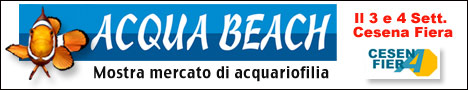 AcquaBeach - Mostra mercato di acquariofilia - REPORTAGE