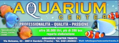 AQUARIUM CENTER - TRENTO
