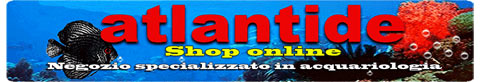 Atlantideonline.com Shop online - Negozio specializzato in acquariologia