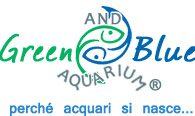 Green and blue Aquarium