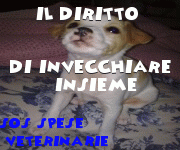Il diritto di invecchiare insieme