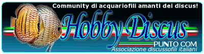 HobbyDiscus.com